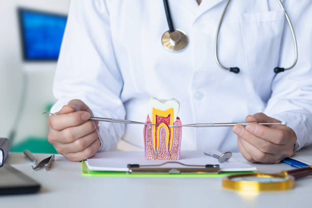 Best Emergency Dental Care for Broken or Chipped Teeth in Bull Run Mountain Estates, VA
